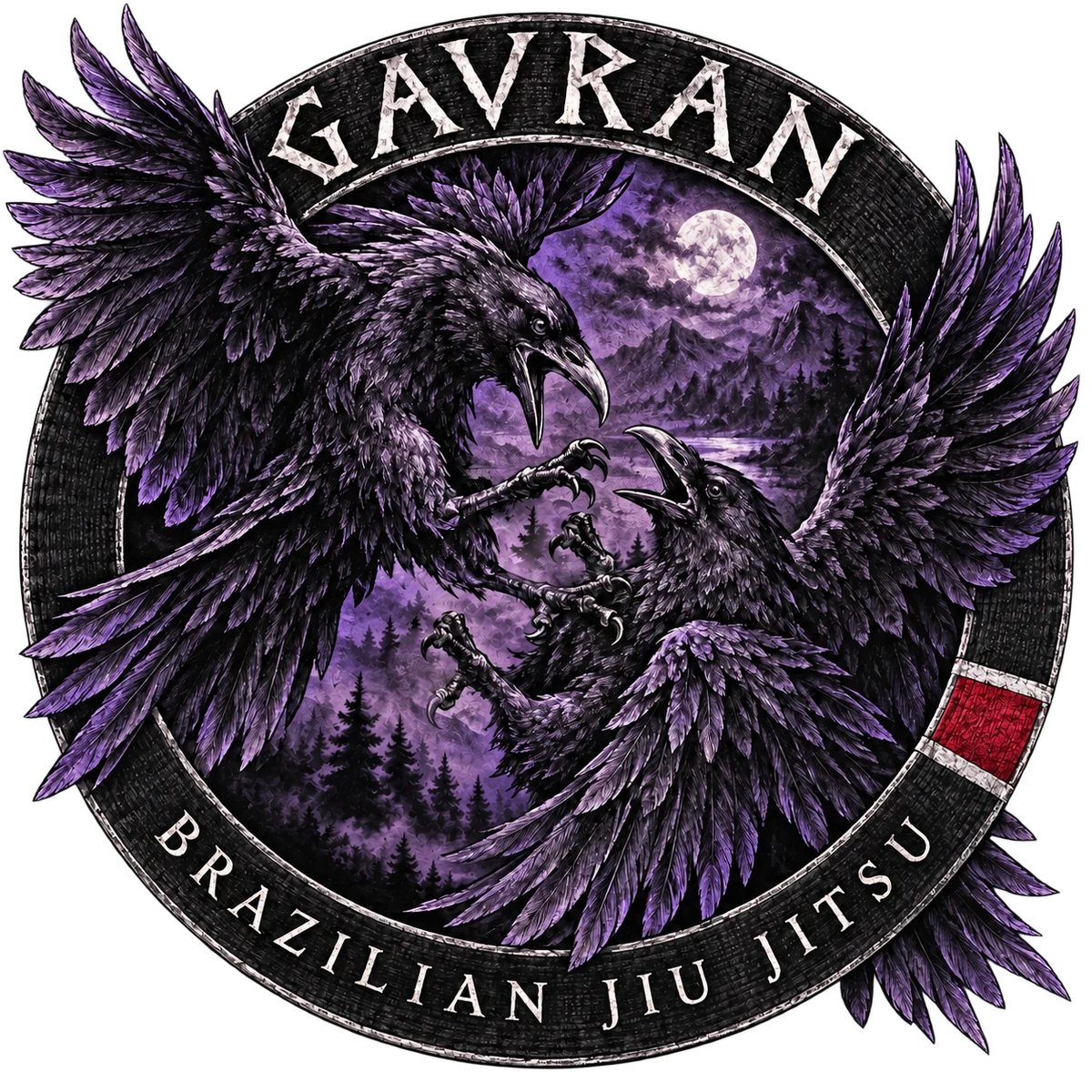 Gavran — dva gavrana u borbi, ručno crtani amblem kluba